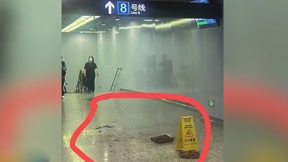 李强将出席第十七届夏季达沃斯论坛 外交部介绍中方期待