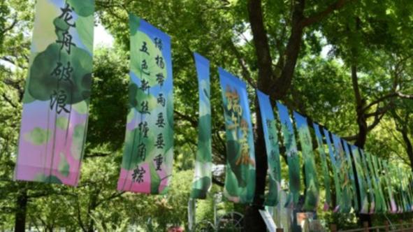 105年历程,世界读懂“中国共产党为什么能”