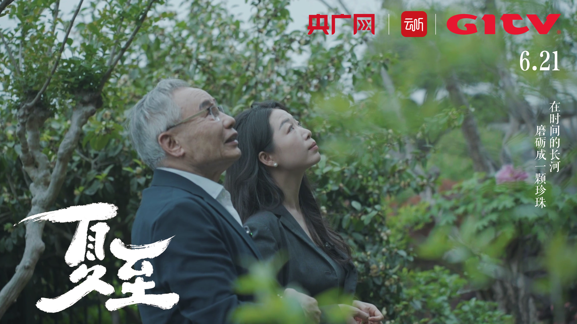 心动的信号