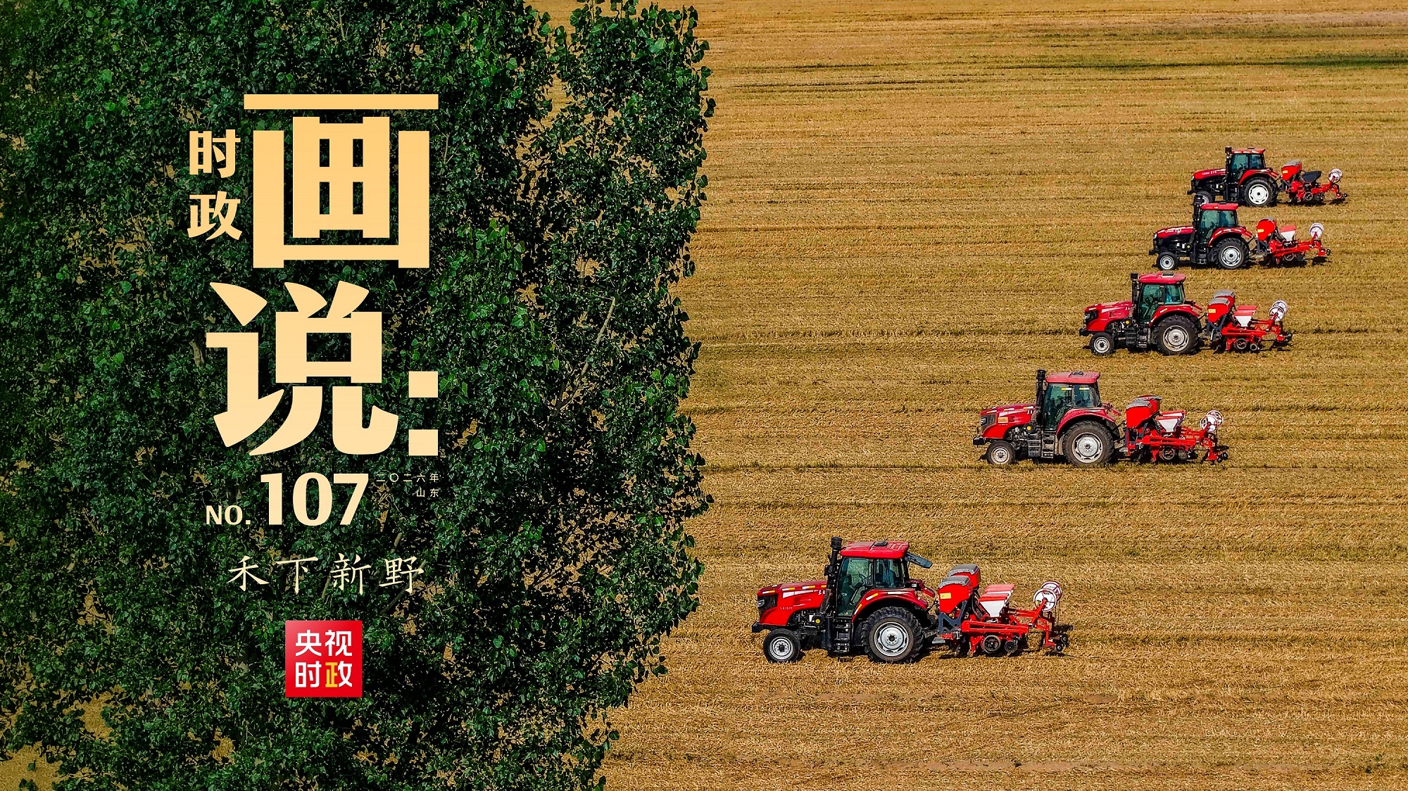 掐脖吻
