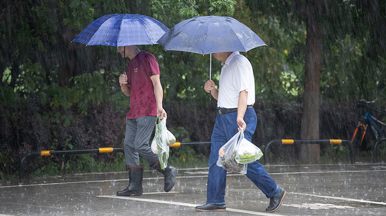 桂花梨水