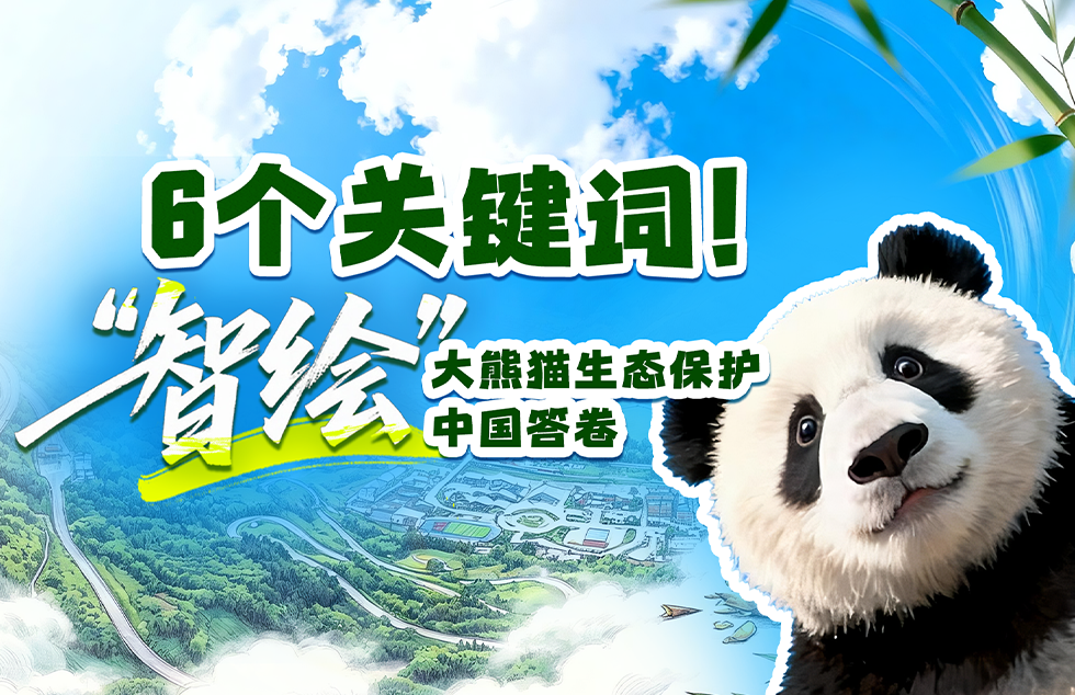 台青参加两岸中山论坛遭政治操弄 国台办回应